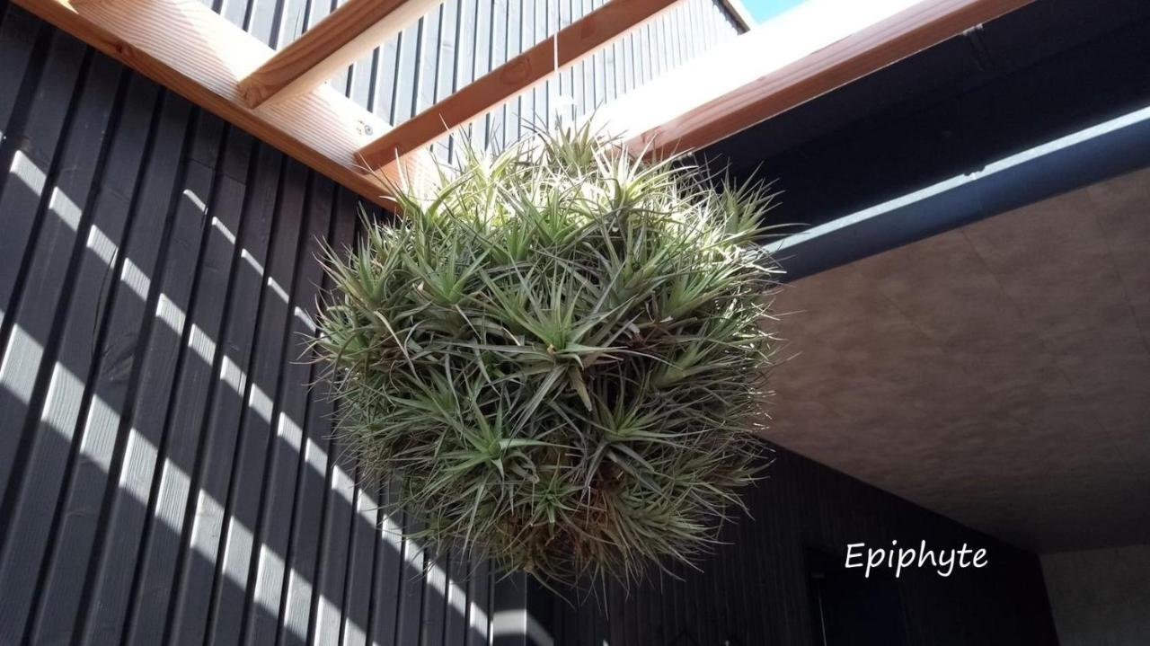 Epiphytes Et Succulentes Apartment Paimpol Exterior photo